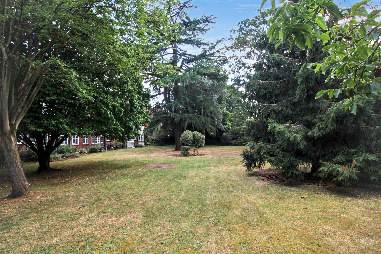 Coley Avenue, Reading
